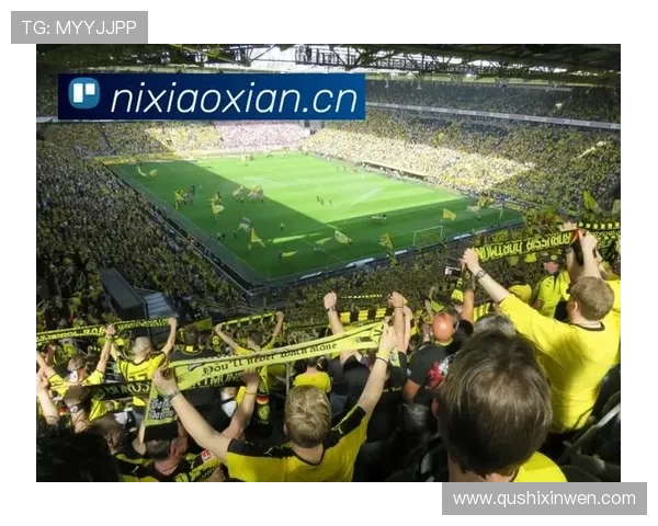 开云体育中国官网：体育直播、赛事回放与用户互动体验全方位呈现