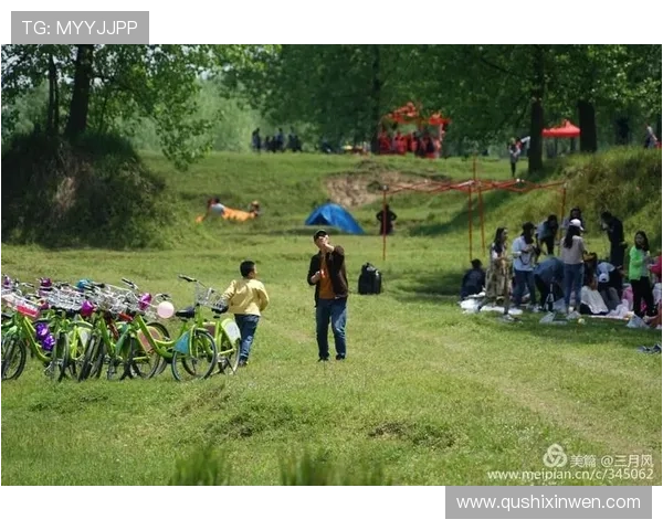 开云体育真人版全站登录流程详解，快速登录无忧享受丰富体育内容