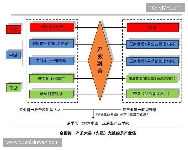 问鼎在线：结合最新技术推动在线内容创新的实践经验