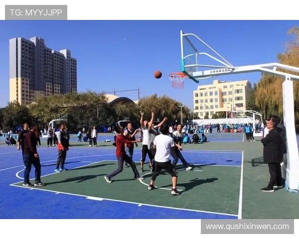 问鼎体育官网网址安全登录方法，提供详细操作流程确保玩家顺利进入游戏体验