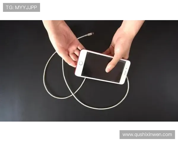 问鼎手机官网下载过程中常见的错误及解决方案，帮助用户顺利完成下载安装