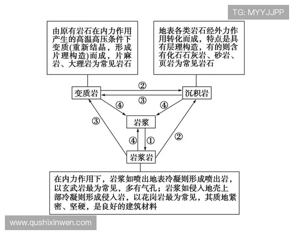 问鼎28圈的成长路径与升级策略,助你快速迈入高手行列 问鼎28圈的成长路径与升级策略,助你快速迈入高手行列